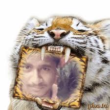 arvind purohit (alpurohit1)