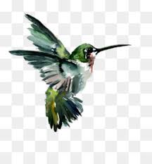 Tentu saja ada pengecualian tergantung kondisi setiap gambar. Burung Unduh Gratis Lukisan Cat Air Menggambar Ilustrasi Tangan Berwarna Parrot Burung Splash Gambar Png