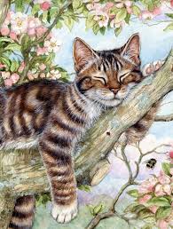 Sleepy Cat By Debbie Cook 2 Sided Polyester Garden Flag Guzel Kediler Cizilecek Seyler Ve Kedi Sanati