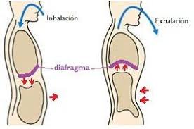 4 Ejercicios de Respiración para reducir la ansiedad. | Psicología ...