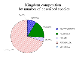 Five Kingdoms Pie Chart Chart Biology Diagram