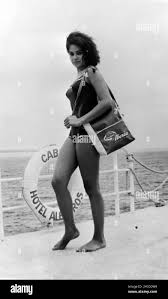 Rosa perez hi-res stock photography and images - Alamy