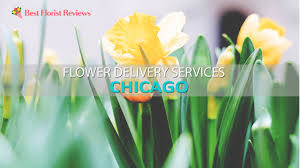 Send bunches of roses, gerberas, alstroemerias, lilies, and any other flowers to any address in any part of the world. The 16 Best Options For Flower Delivery In Chicago Bestfloristreview