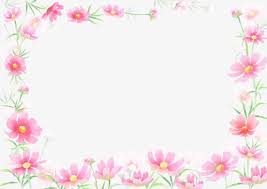 Watercolor Flowers Frontera Rosa Fleur Rose Bordures Fleuries Fleurs