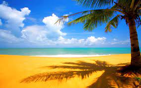 Looking for the best wallpapers? 75 Hd Beach Desktop Backgrounds On Wallpapersafari