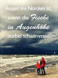 Regen Im Norden Ist Erst Wenn Die Fische In Augenhöhe Vorbei