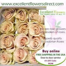 Sent directly from top local florists! Pin On Fresh Ecuadorian Roses