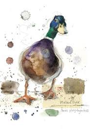 Bug Art F026 Mallard Duck Greetings Card Bird Art Animal Art Art
