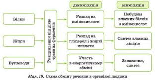 Особистий сайт Коваленка Сергія Івановича