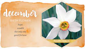 Whenever i give flowers or birthstone gifts, i like to include the meanings behind them… so here is some info for you to use! Birth Month Flowers And Their Meanings