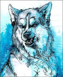 Check spelling or type a new query. Ice Eyes By Newfka On Deviantart Furry Art Anime Wolf Canine Art