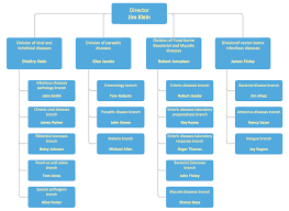 examples of flowcharts organizational charts network