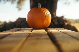 Check spelling or type a new query. Clever Instagram Captions For Pumpkin Related Posts