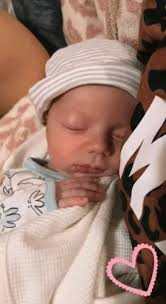 Hipp Family History: Last Name Origin & Meaning