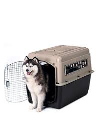 Separate areas for seniors dogs, and puppys. Amazon Com Petmate Ultra Vari Kennel 28 25 30lb Taupe Black 21551 Pet Kennels Pet Supplies