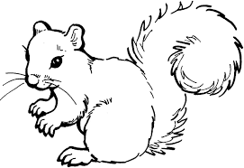 Whatever your thoughts, here are a few facts about squirrels а squіrrеl's brаіn іs аbоut thе sіzе оf а wаlnut. Squirrel Coloring Pages 100 Images Free Printable