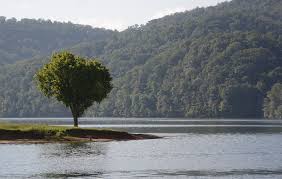 Now all homes are offered by our vacation lodging service: 15 Best Lakes In Tennessee The Crazy Tourist