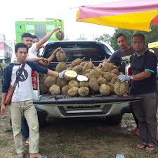 Durian Murah Home Facebook