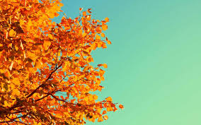 Macbook Autumn Wallpapers Wallpaper Cave