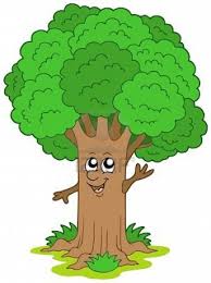 En que se talan los árboles, va desapareciendo una. Teoria Blog Deforestacion
