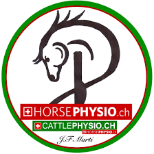 Profil von John Marti