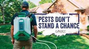 Louis metropolitan area since 1989. Cadet Pest Control Home Facebook