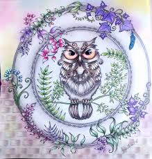 Owl Enchanted Forest Enchanted Forest Coloring Book Enchanted Forest Coloring Johanna Basford Coloring Book