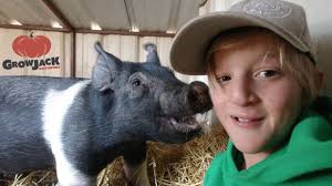 Jack Bought a New Show Animal!