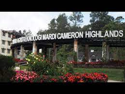 Sejarah ringkas mengenai taman agroteknologi mardi, cameron highlands. Taman Agroteknologi Mardi Cameron Highland Youtube