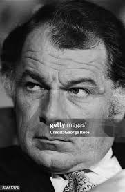 84 Patty Shepard Stock Photos, High-Res Pictures, and Images