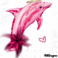 Pink Dolphin Dolphin Art Dolphins Beach Creatures