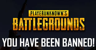 I'm kinda panicking right now? The Reasons Why You Are Banned In Pubg And Pubg Mobile