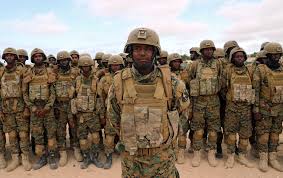 The army and the navy. Rival Groups From Somali Army Clash At Former Uae Training Facility
