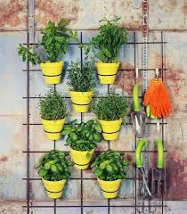 Pin On Garden Ideas