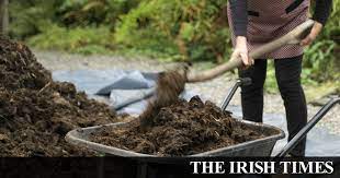 Want suppliers who can export to australia. Mulch The Great Garden Cure All