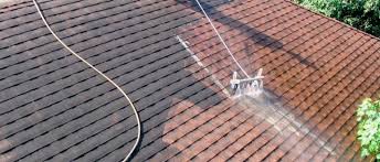 Dakpannen Reinigen Dakpannen Schoonmaken Dak