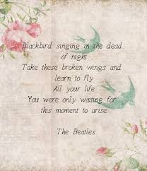 Blackbird Singing In The Dead Of Night Lyrics Blackbird Singing In The Dead Of Night Take These Broken Wings And Learn To Fly All Your Life You Were Only Waitin The Beatles Beatles Lyrics Blackbird Singing