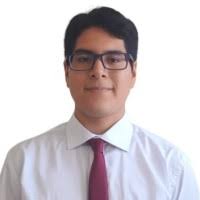 30+ "Mario Canales" profiles