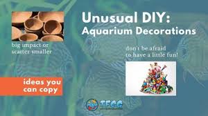 Check spelling or type a new query. 10 Great Ideas How To Decorate A Fish Tank With House Hold Items