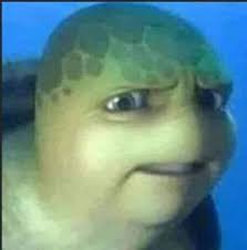 Best Pickles Discussion