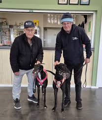 Shepparton Greyhounds