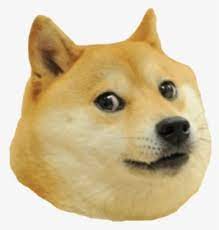 He has glowing white eyes, brown fur, and a creepy smile. Dog Doguedebordeaux Doge Smile Sacado Lomejor Doge T Shirt Roblox Hd Png Download Transparent Png Image Pngitem