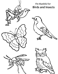 Fun insect coloring page a free nature coloring printable. I Am Thankful For Birds And Insects Coloring Page Insect Coloring Pages Lds Primary Coloring Pages