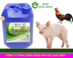 Chế Phẩm Sinh Học EMGRO - Emzeo
