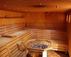 تصویر سونا خشک