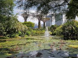 Les Supertrees De Singapour Joli Jardin Singapour Architecture Du Paysage