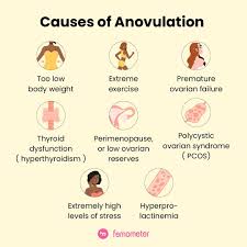 Image result for Anovulation