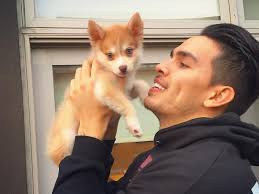 The most over-the-top things Susur Lee's sons have posted