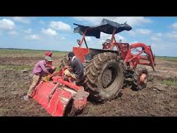 Soeu Seyha Youtube Betta Fish Betta Kubota