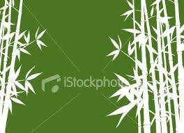 Bamboo Background Vector Bamboo Background Background Illustration